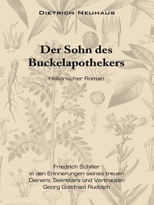 cover image of Der Sohn des Buckelapothekers